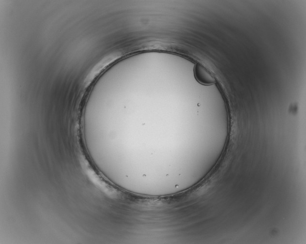 X0000113151042200909251323