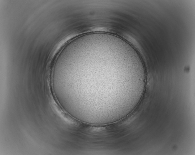 X0000113151043200909251323