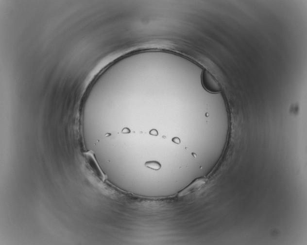 X0000113151044200909251323