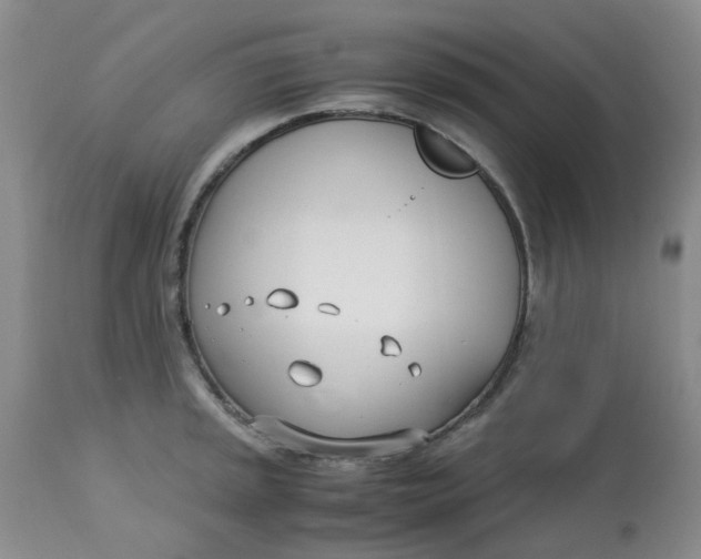 X0000113151045200909251323