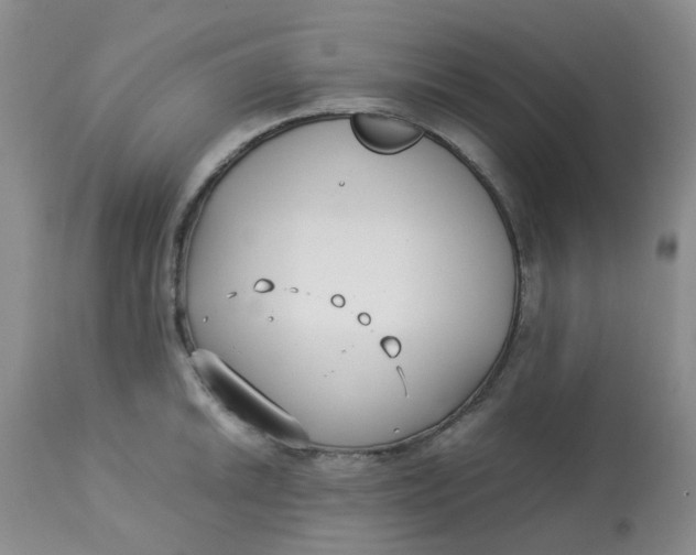 X0000113151046200909251323