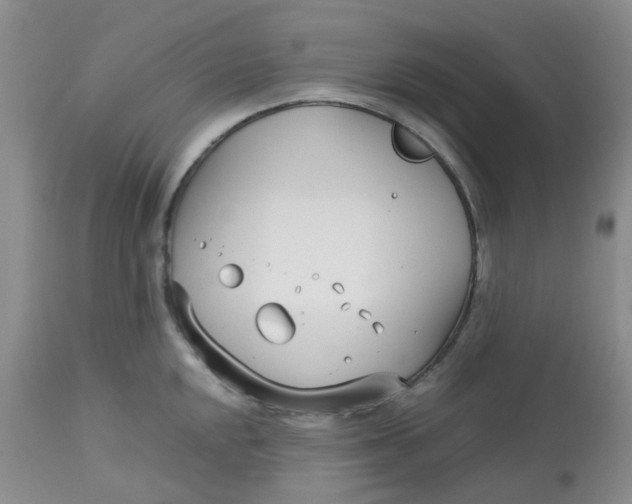 X0000113151048200909251323