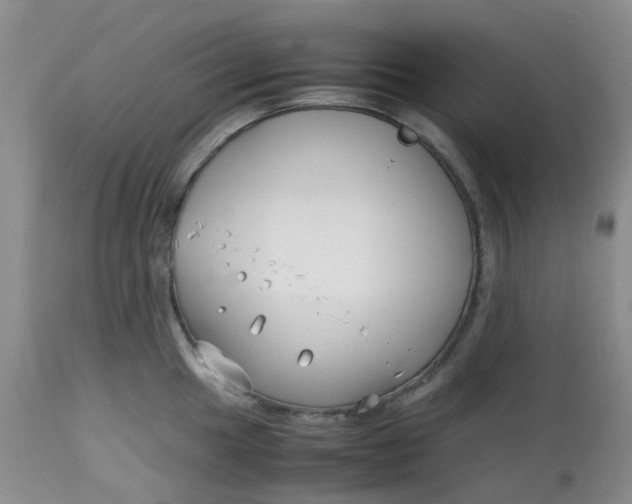 X0000113151049200909251323