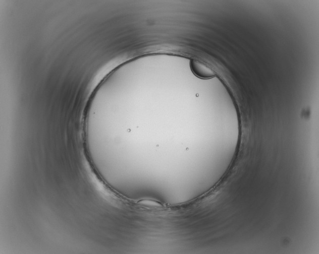 X0000113151050200909251323