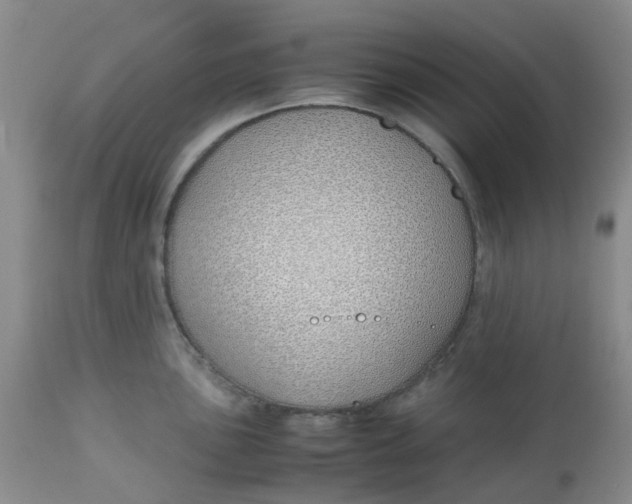 X0000113151051200909251323