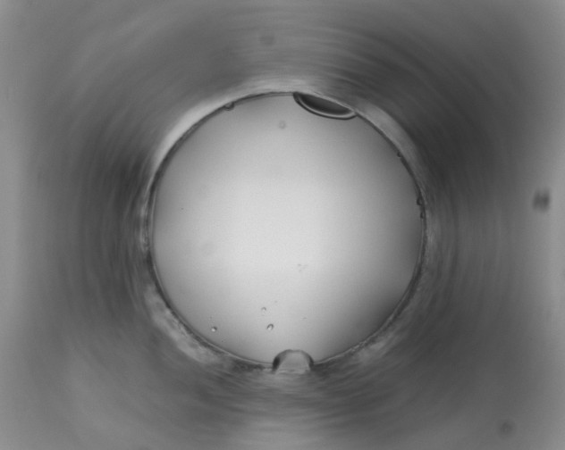 X0000113151052200909251323