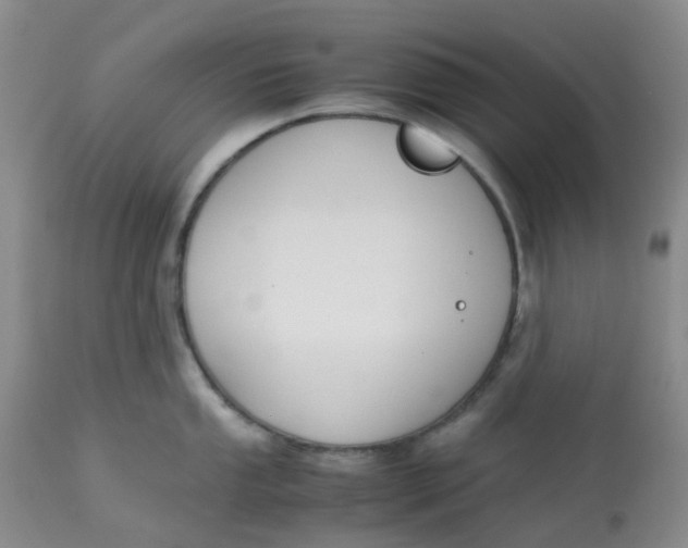 X0000113151053200909251323