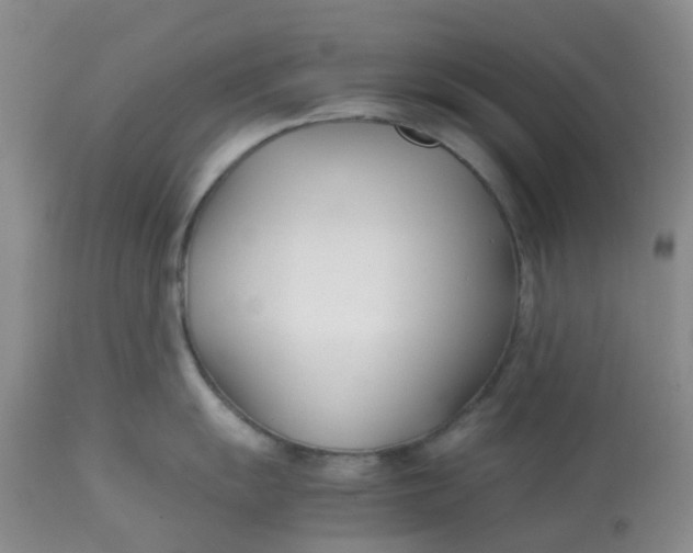 X0000113151055200909251323