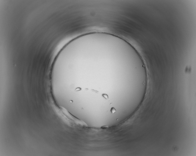 X0000113151056200909251323