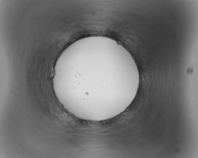 X0000113151057200909251322