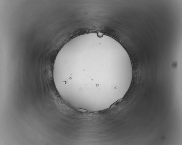 X0000113151058200909251322