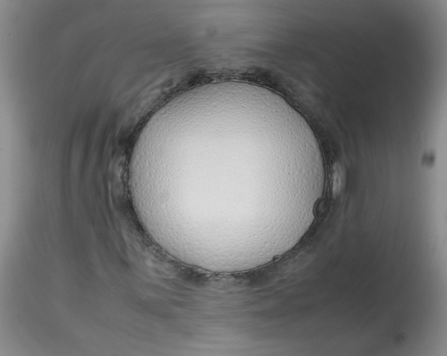 X0000113151059200909251322