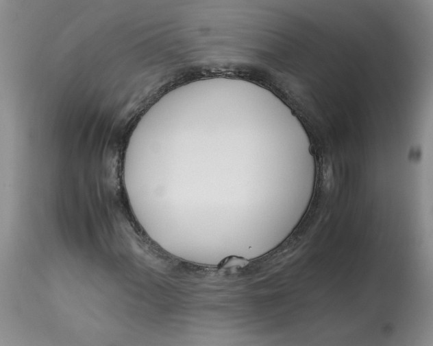 X0000113151060200909251322