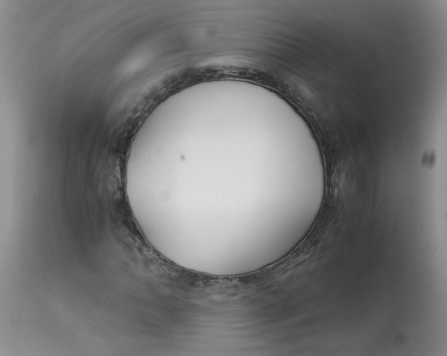 X0000113151062200909251322