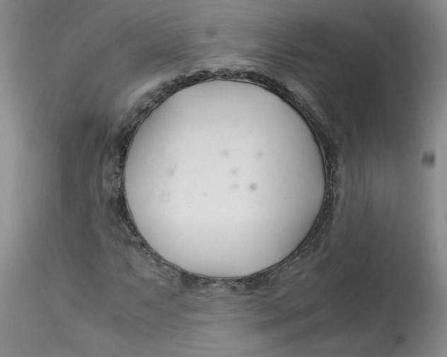 X0000113151063200909251322