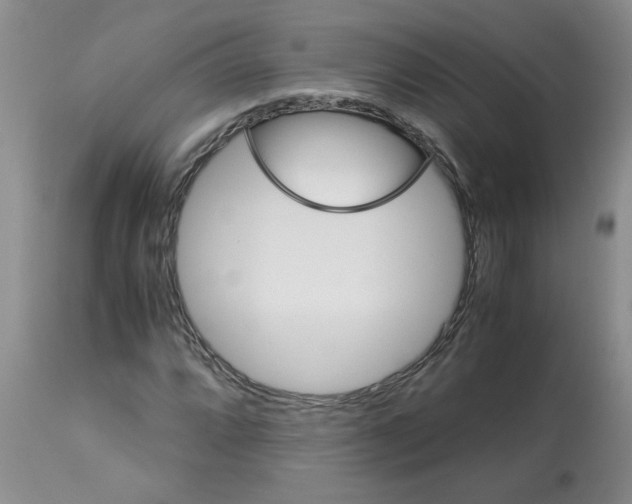 X0000113151064200909251322