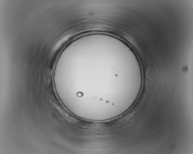 X0000113151067200909251322