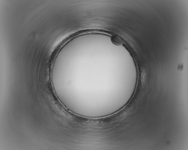 X0000113151069200909251322