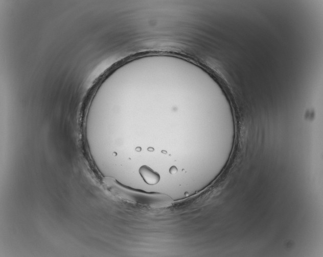 X0000113151071200909251322