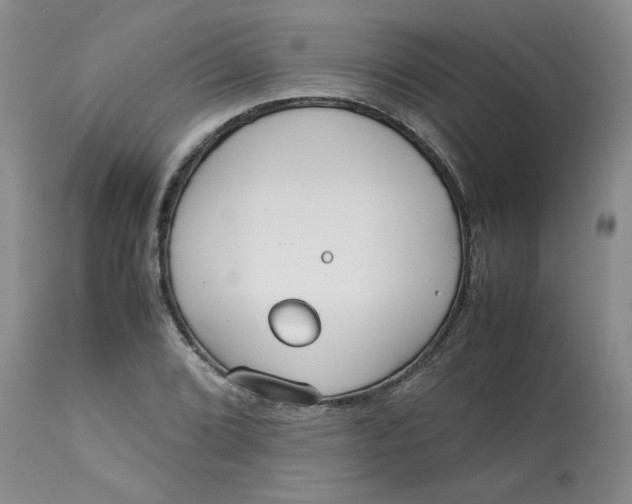 X0000113151072200909251322