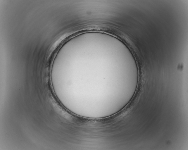 X0000113151075200909251322