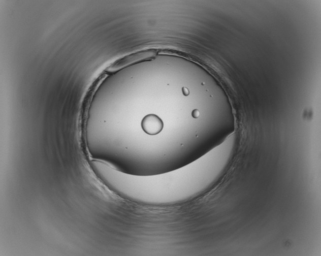 X0000113151076200909251322