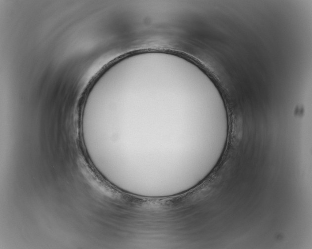 X0000113151078200909251322