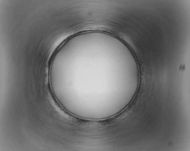 X0000113151079200909251322