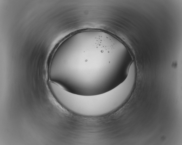 X0000113151080200909251322