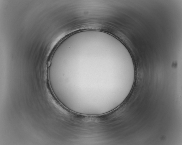 X0000113151083200909251322