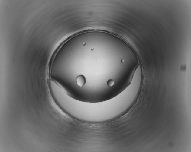 X0000113151084200909251322