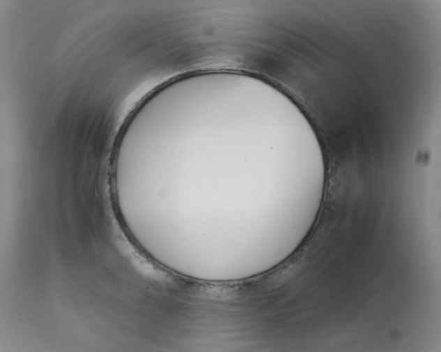 X0000113151086200909251322