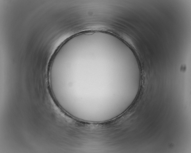 X0000113151087200909251322