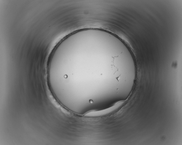 X0000113151088200909251322