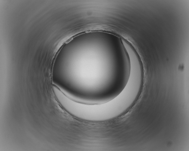 X0000113151089200909251322