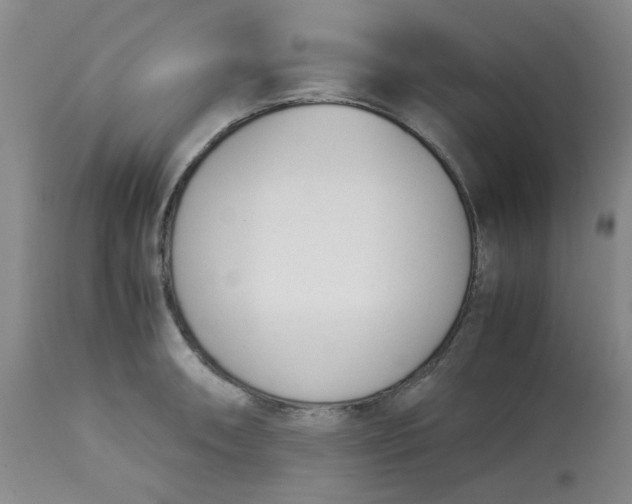 X0000113151090200909251322