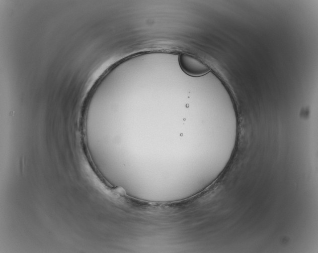 X0000113151091200909251322