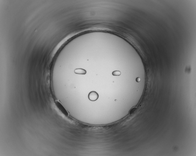 X0000113151092200909251322