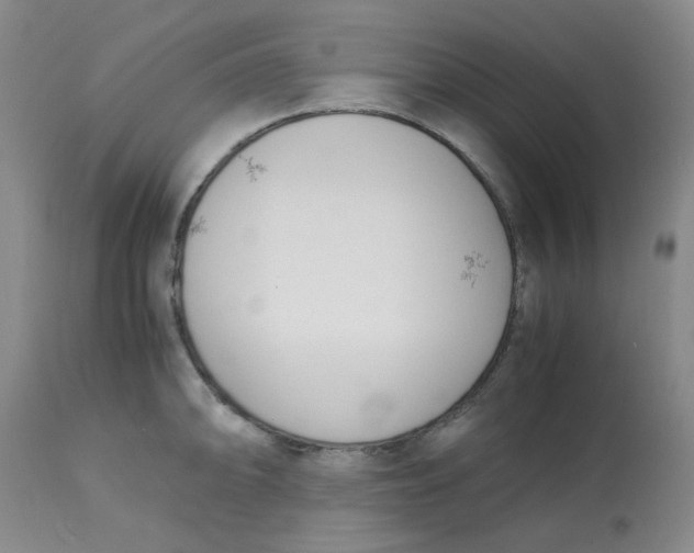 X0000113151094200909251322