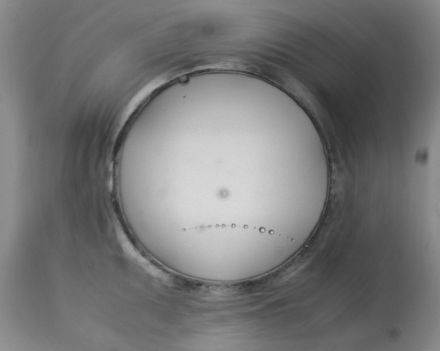 X0000113151095200909251322