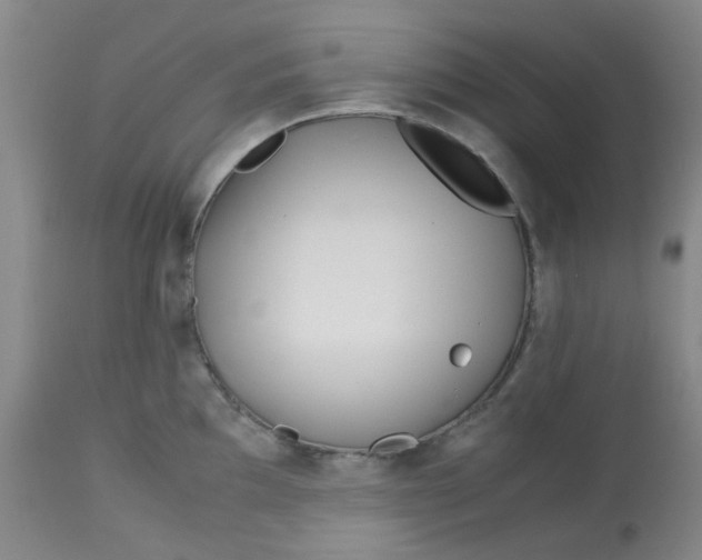 X0000113151097200909251322