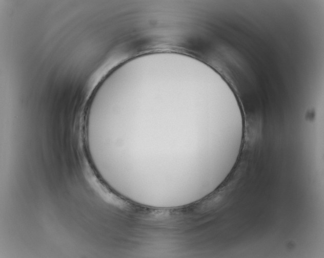 X0000113151098200909251322