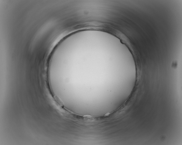 X0000113151099200909251322