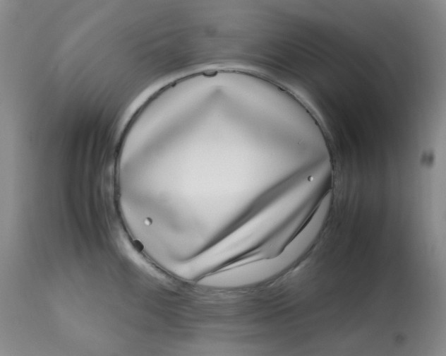 X0000113151100200909251322