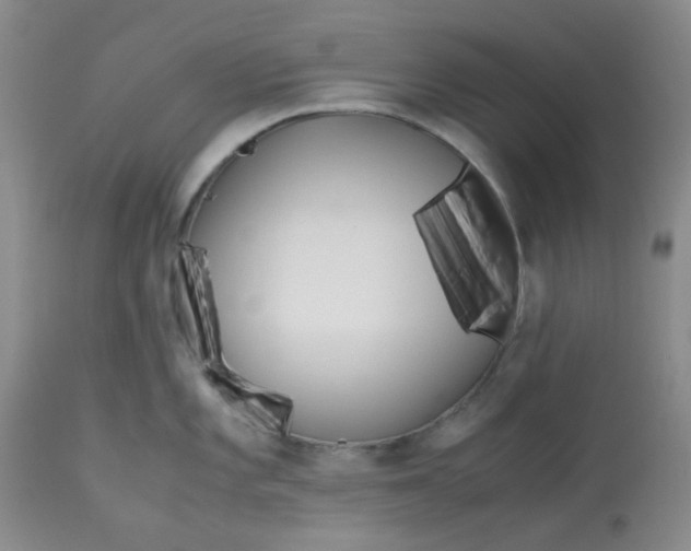 X0000113151101200909251322