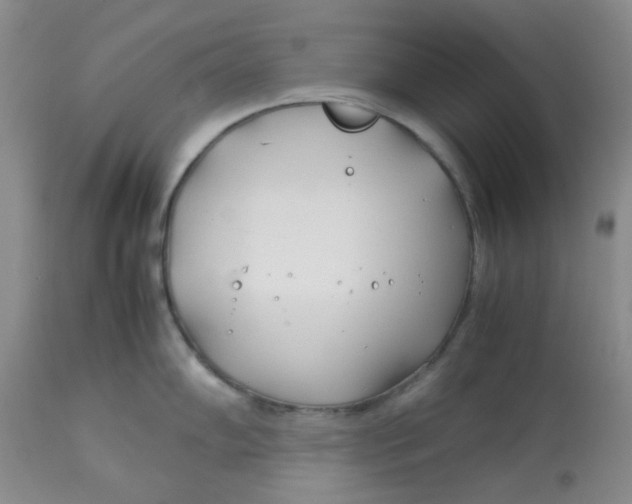 X0000113151102200909251322