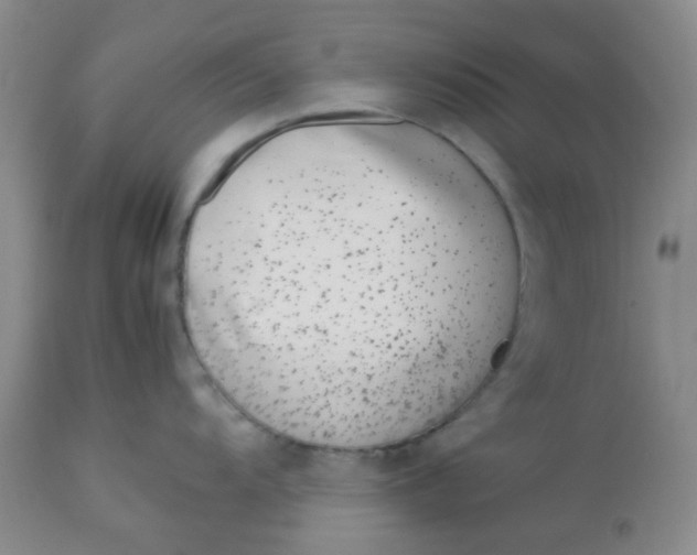 X0000113151104200909251322