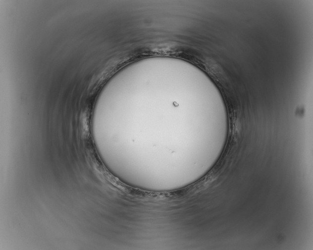 X0000113151106200909251321