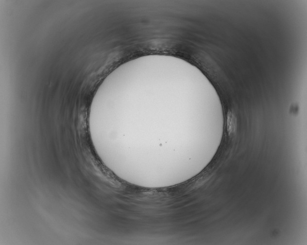 X0000113151107200909251321