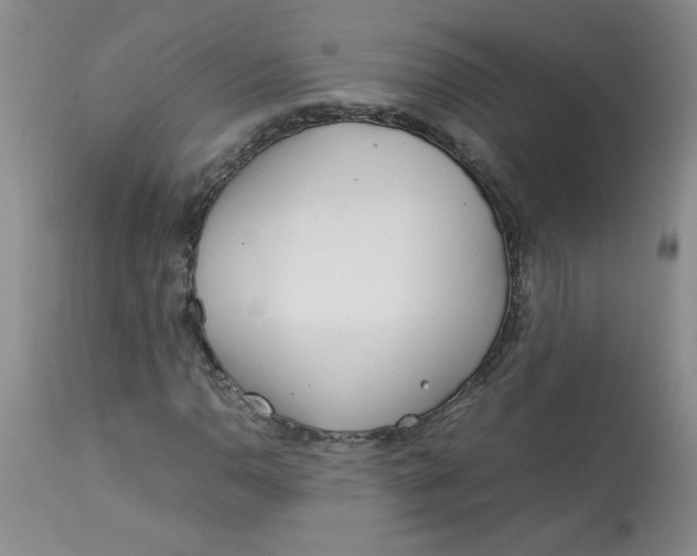 X0000113151110200909251321